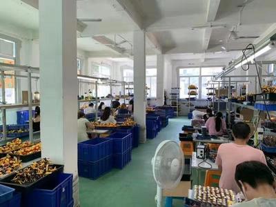 光明还是陷阱？百款侵权玩具覆灭记